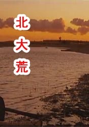 99久久精品国产免看国产一区
